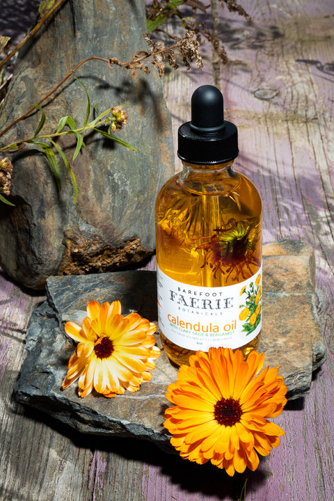 Calendula Oil