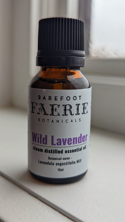 Wild Lavender Essential OIl