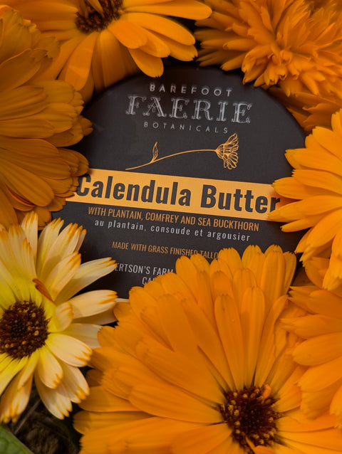 Calendula Butter Tallow / Plantain