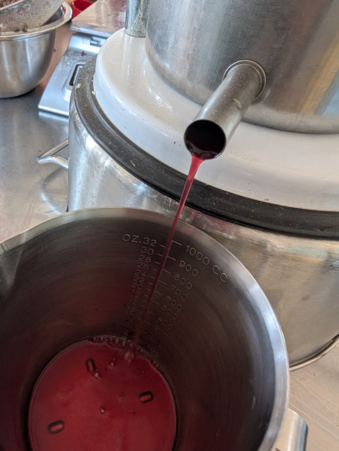 Botanical Elderberry Syrup